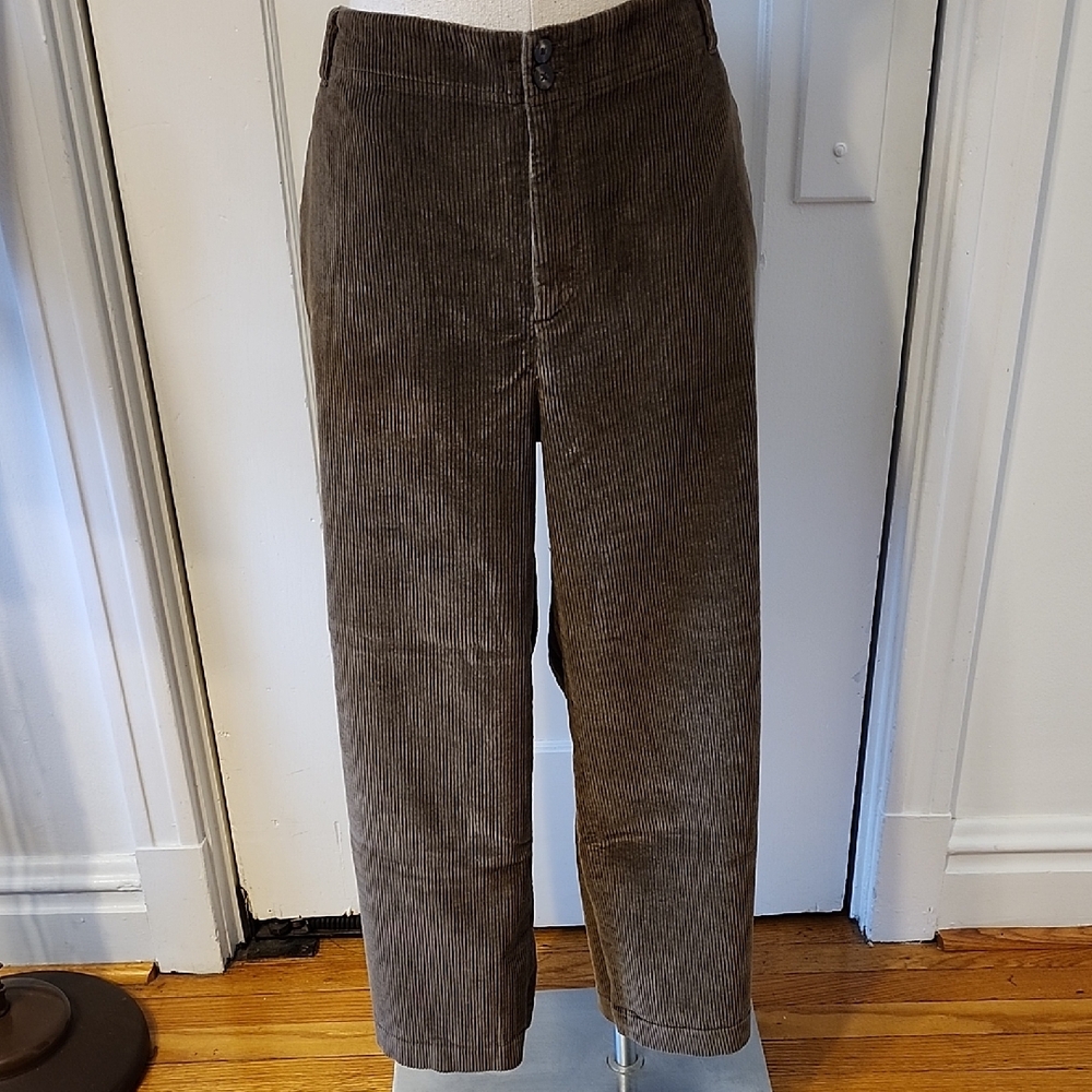 J. Jill Women's Cords - Olive